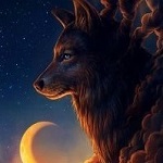 Аватар для Egorecc