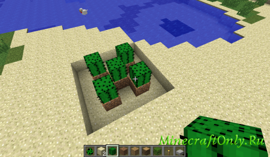 Cactus can only grow on dirt [1.2.5]