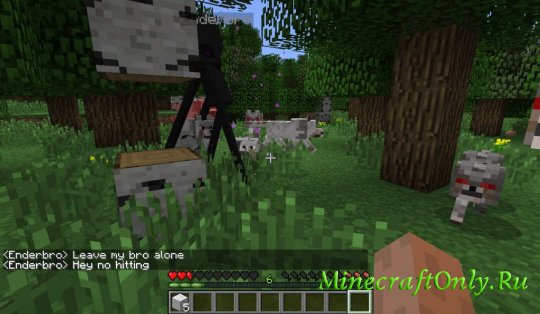 EnderBro+ [1.2.5]