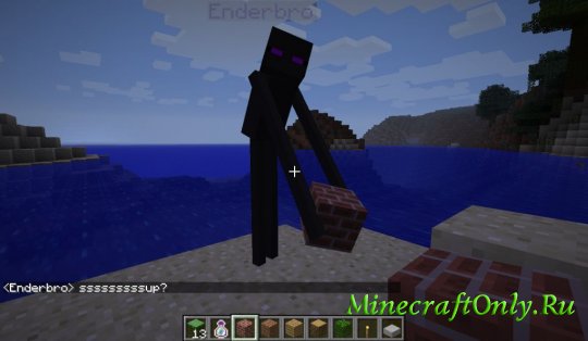 EnderBro+ [1.2.5]