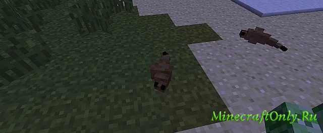 Cockroach Mod [1.3.2]