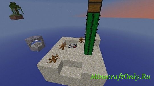 Biome Skyblock