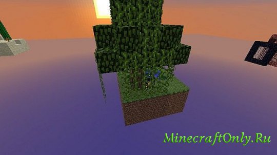 Biome Skyblock