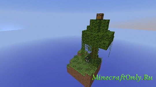 Biome Skyblock