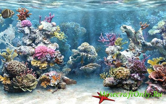 Coral Reef Mod