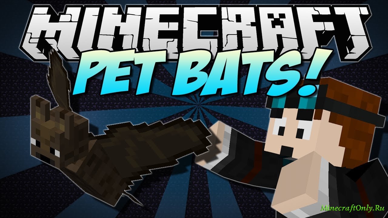 Pet Bat [1.7.2]