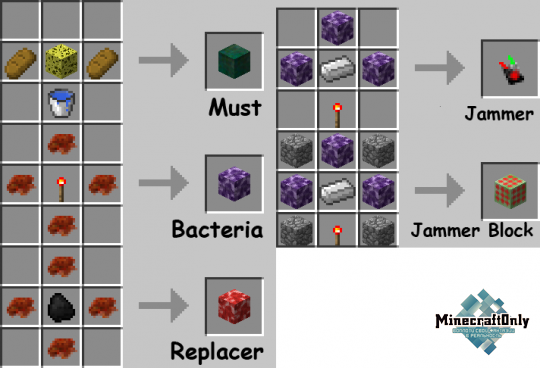 Bacteria [1.7.10] [1.7.2]