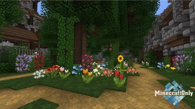 Muddle [1.13]