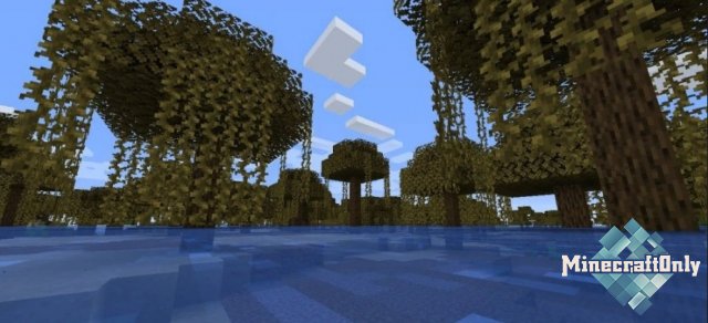 THE BIOME OVERHAUL [1.14.4]