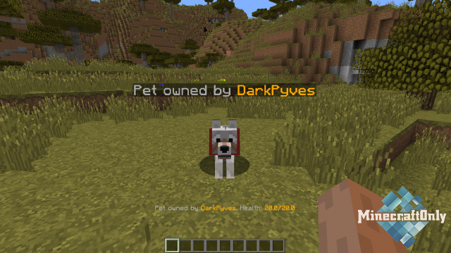 Pet Master [1.16]