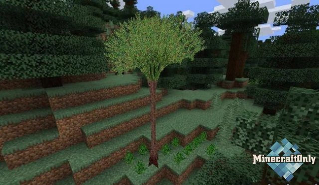 More Plants [1.15.2]