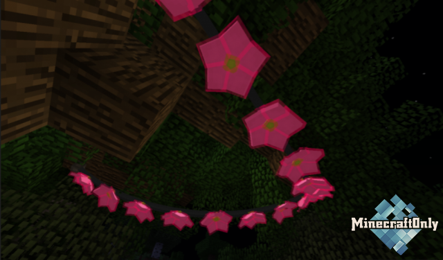 Fairy Lights [1.16.3]