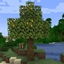 Golden Apple Tree avatar