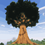 Big Oak Tree avatar