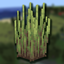Wetland Whimsy avatar