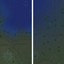 Better Biome Reblend avatar