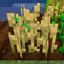 Simply Harvesting avatar