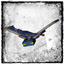 Kamikaze Phantoms avatar