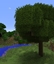 Better Foliage avatar