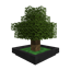 Bonsai Trees 4 avatar