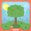 Saro´s Fruit Trees avatar