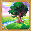 Perception avatar