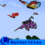 Bok's Banging Butterflies avatar