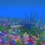 CoralReef avatar