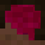 Big Brain avatar