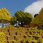 Dynamic Trees - Traverse avatar