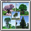 Tax' Tree Giant avatar