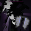 Dragon Drops Elytra avatar