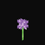 Flower Mimics avatar