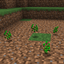 Grass Seeds avatar