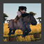Star Worm Equestrian (Upgrading Horses) avatar