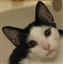 NotEnoughItems avatar