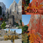 Dwarven Realm avatar