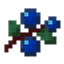 More Berries avatar