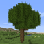 Better Foliage Renewed avatar