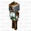 Nether Skeletons avatar