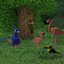 Exotic Birds avatar