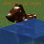 Horses can Swim avatar