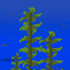 Kelp Fertilizer avatar