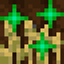 Experienced Crops avatar