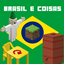 Brazil and Things avatar