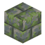 Nemo's Mossy Blocks avatar