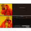 OWorld2Create avatar