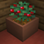 Botany Pots avatar
