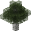 Traversable Leaves [FORGE] avatar
