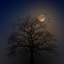 Eerie Music avatar